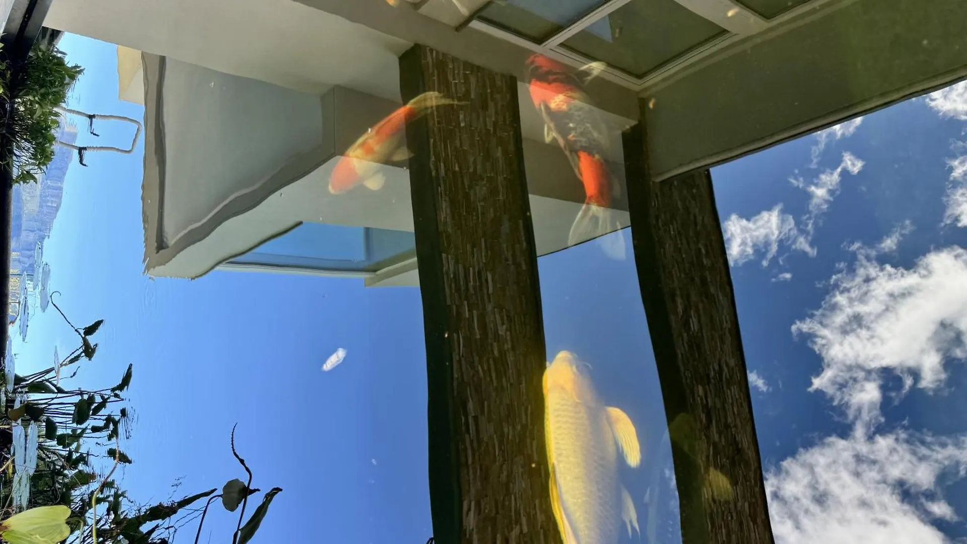 Villa Koi Una Terrazza Sul Lago Pianello Del Lario Apartment