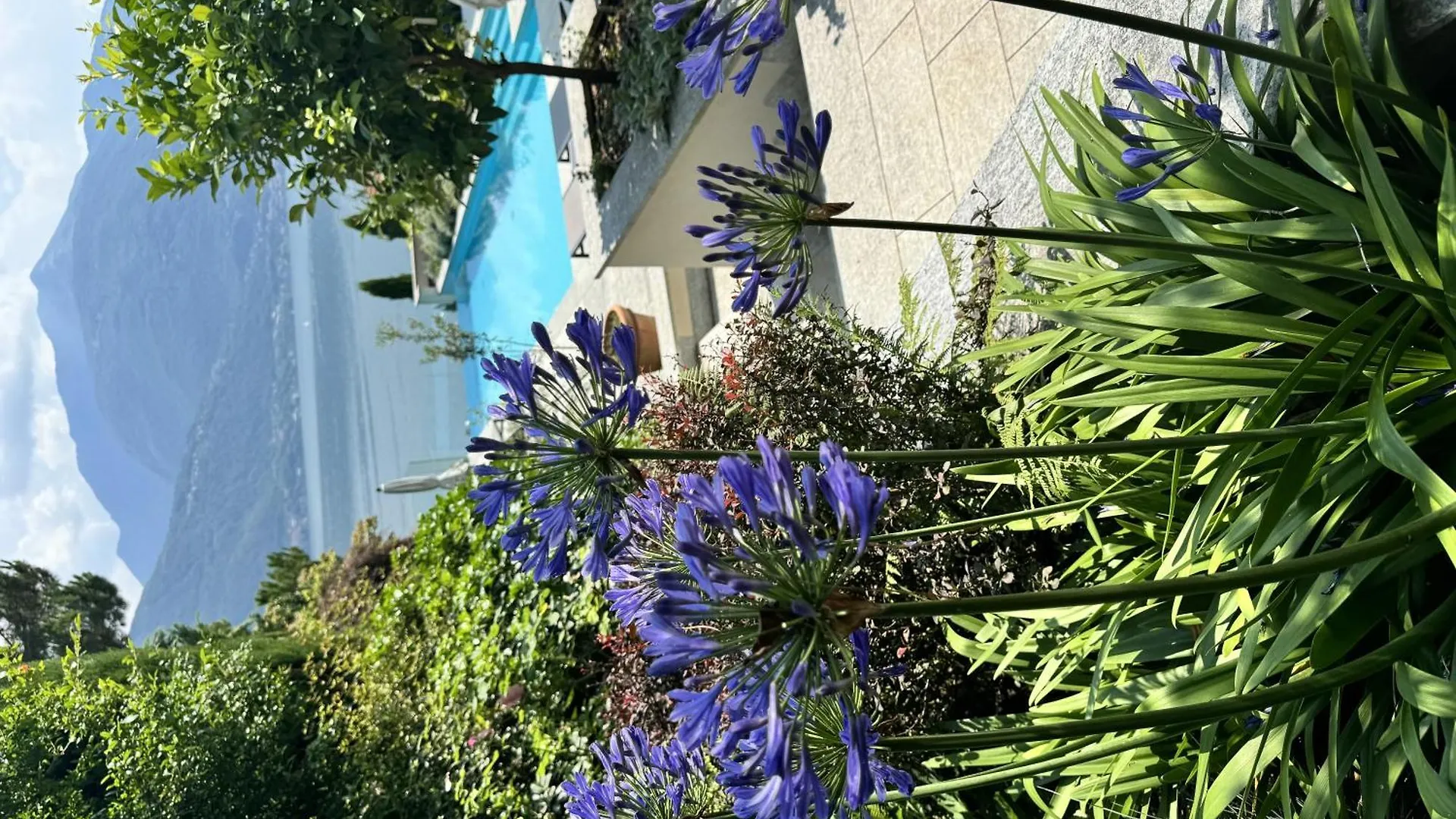 Villa Koi Una Terrazza Sul Lago Pianello Del Lario